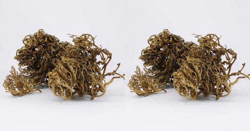 Lazada.com/La Tahzan Fruit